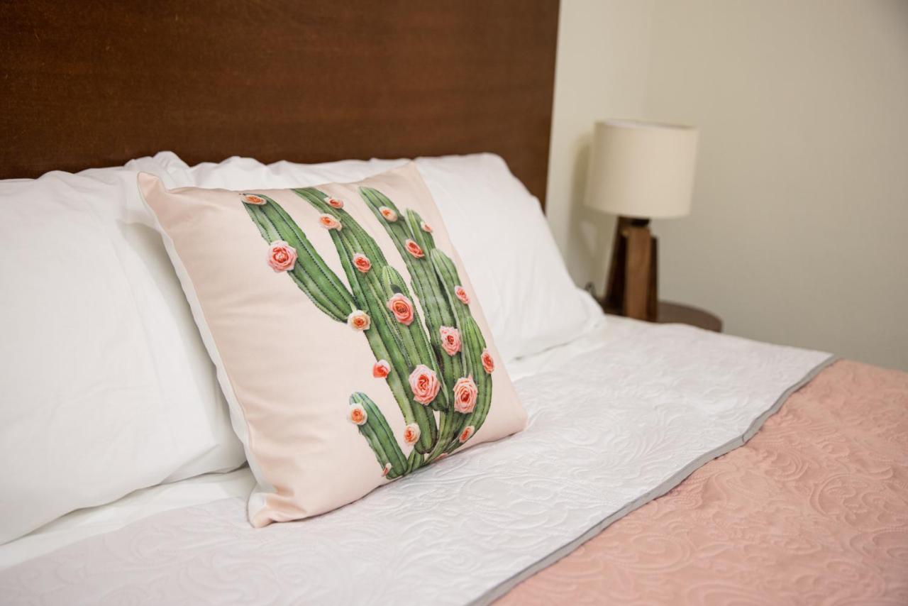 טקילה Hotel Casa Jima Agave מראה חיצוני תמונה